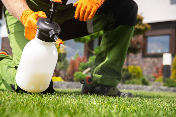 Best Insect Control  in Westfield, NJ