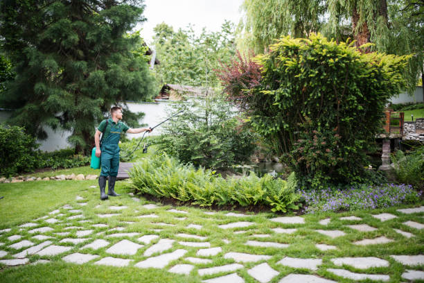 Best Pest Inspection Near Me  in Westfield, NJ