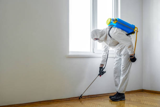 Best Mosquito Control Services  in Westfield, NJ