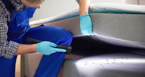 Pest Control for Restaurants in Westfield, NJ