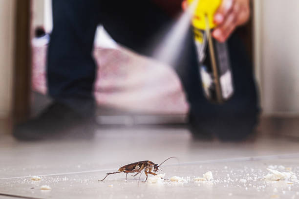 Westfield, NJ Pest Control Company